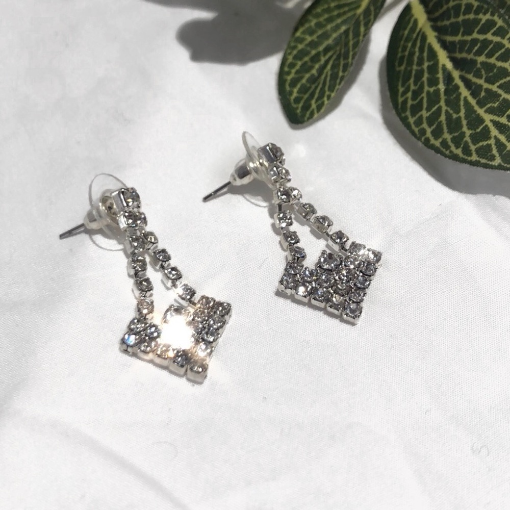 (NWOT) Drop Earrings